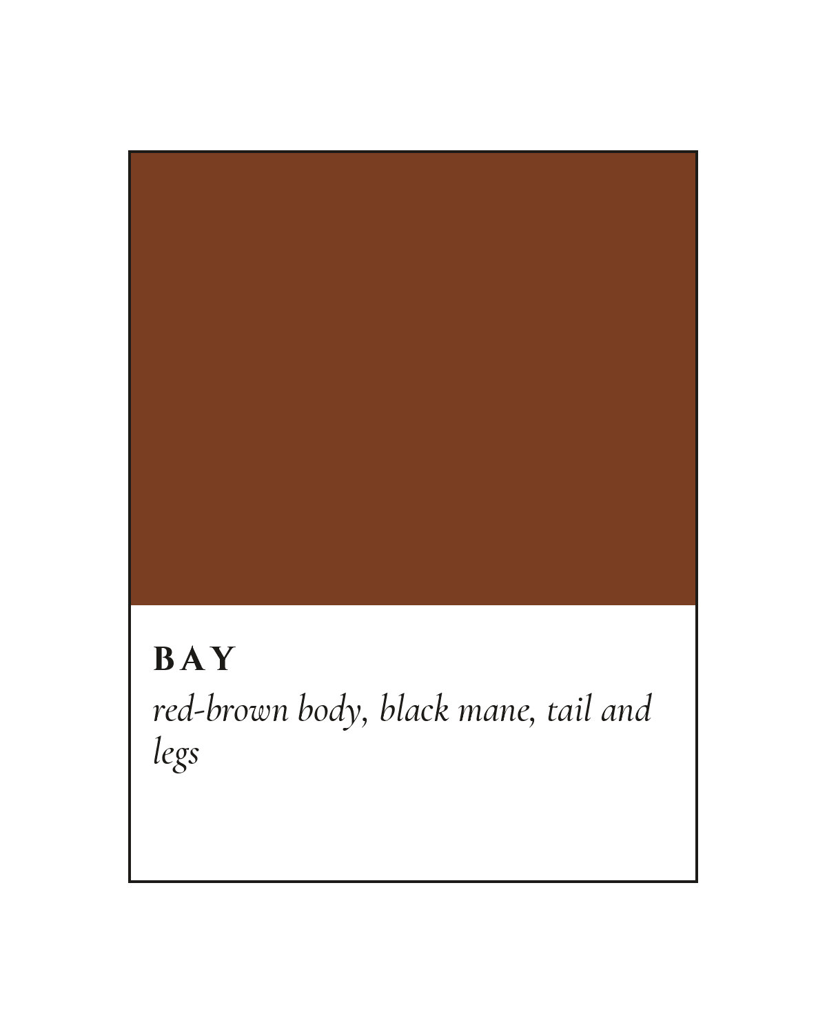 Bay Coat