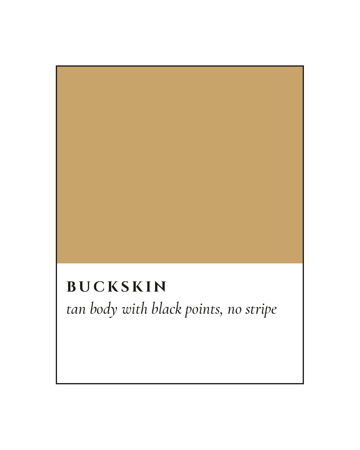 Buckskin Coat