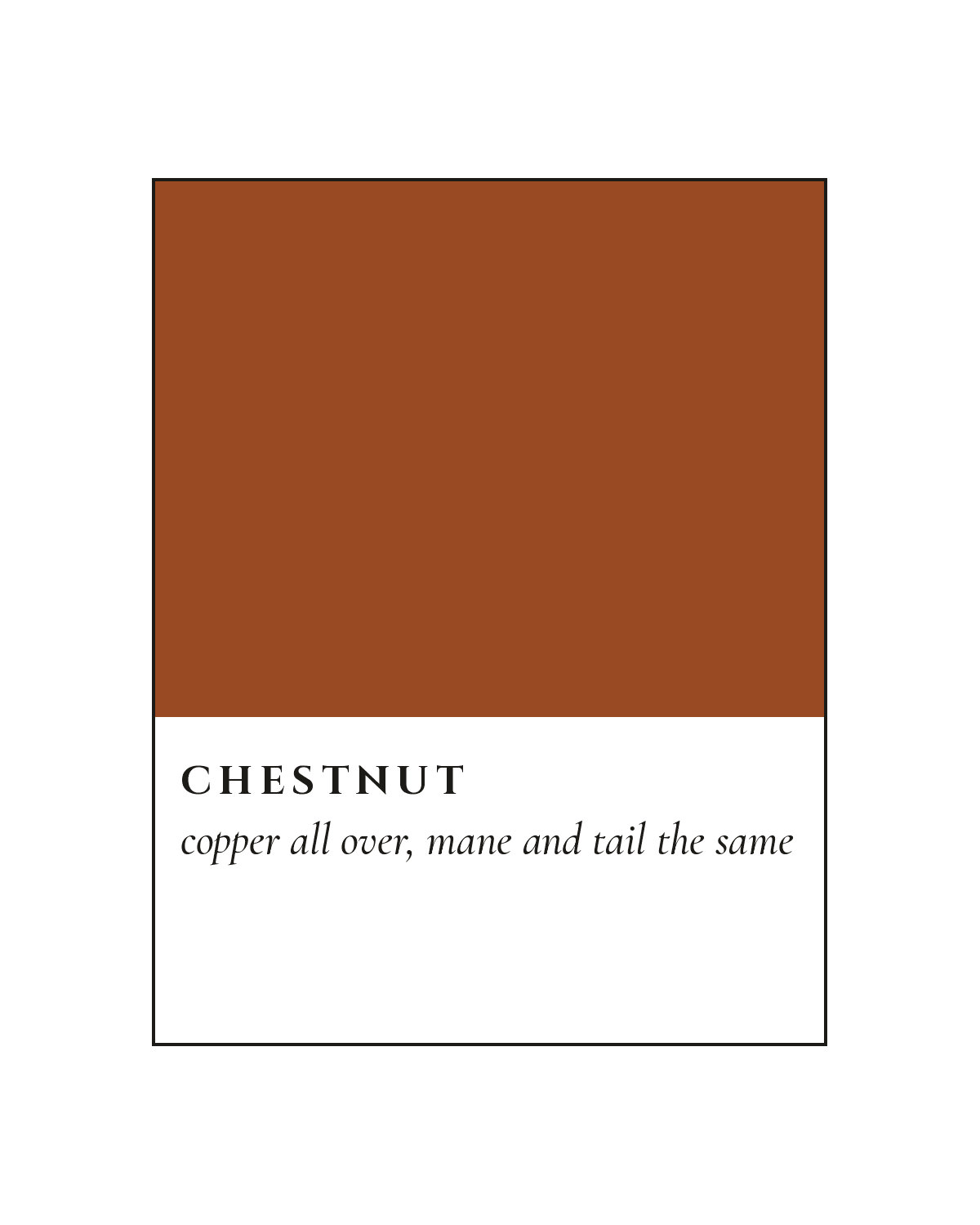 Chestnut Coat