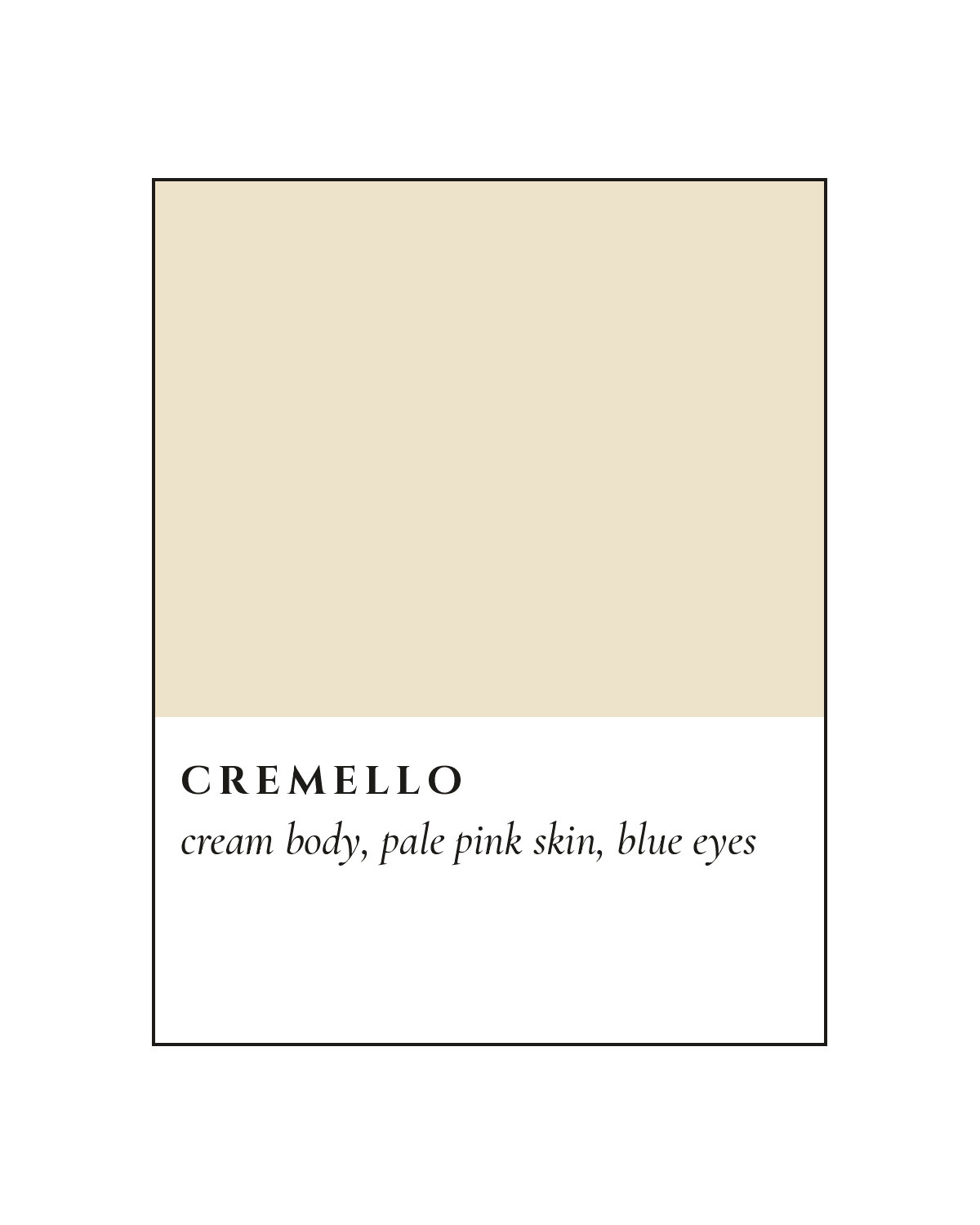 Cremello Coat