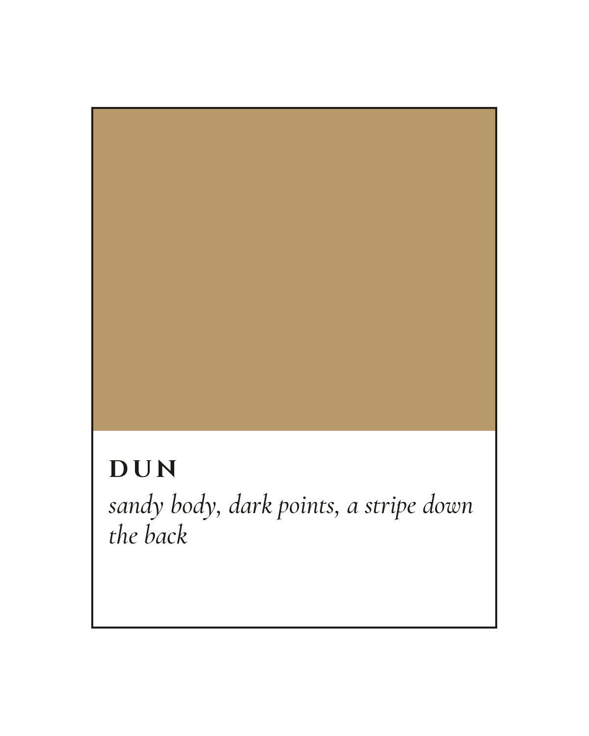 Dun Coat