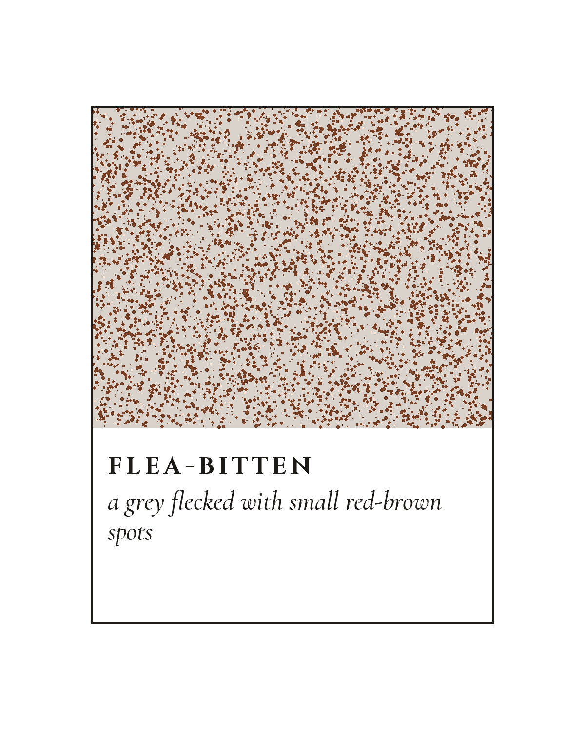 Flea-Bitten Coat, on a white mount.