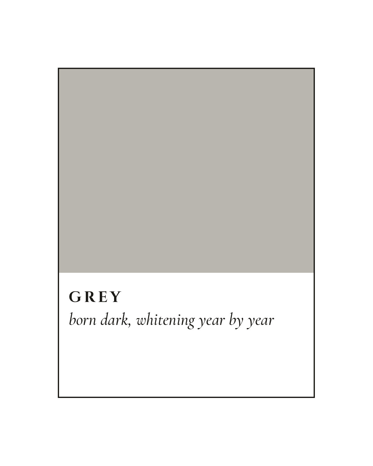 Grey Coat