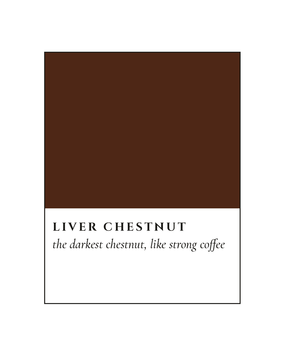 Liver Chestnut Coat