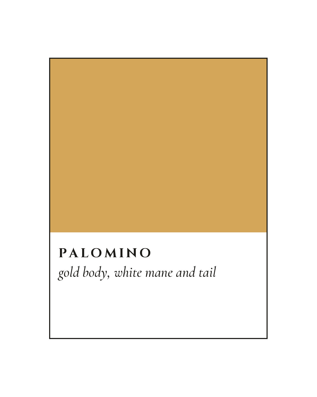 Palomino Coat