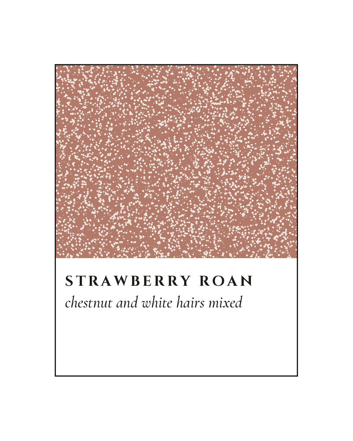 Strawberry Roan Coat, on a white mount.