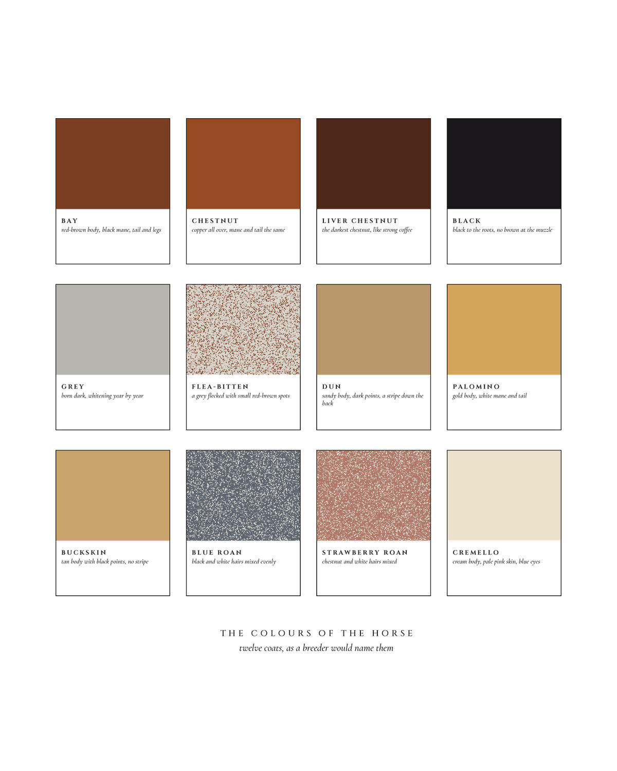 The Colours of the Horse