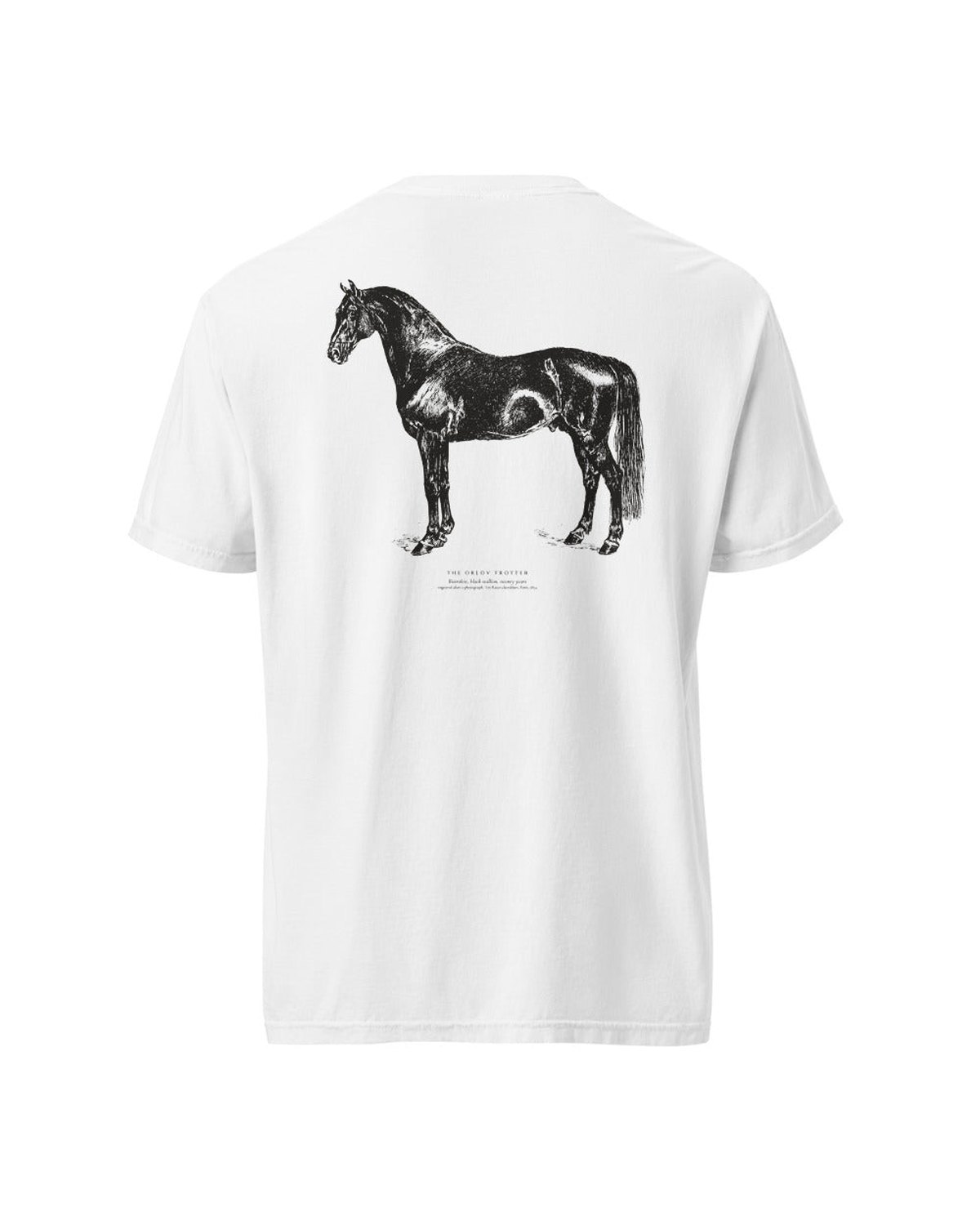 Trotters and carriage horses
