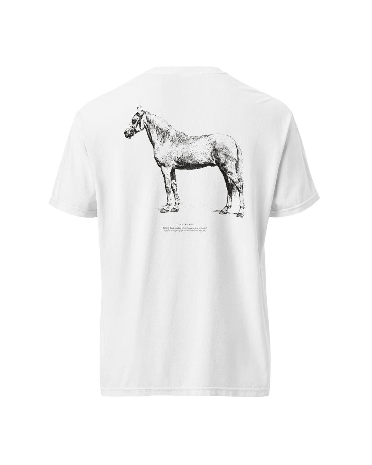 Saddle horses