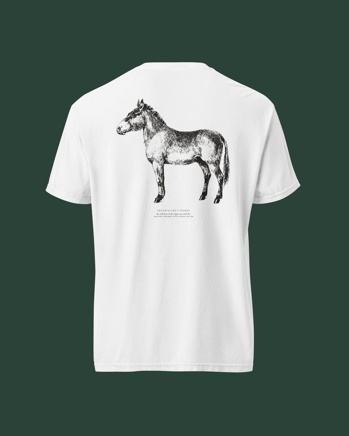 الخيل البرية وخيل الشمال