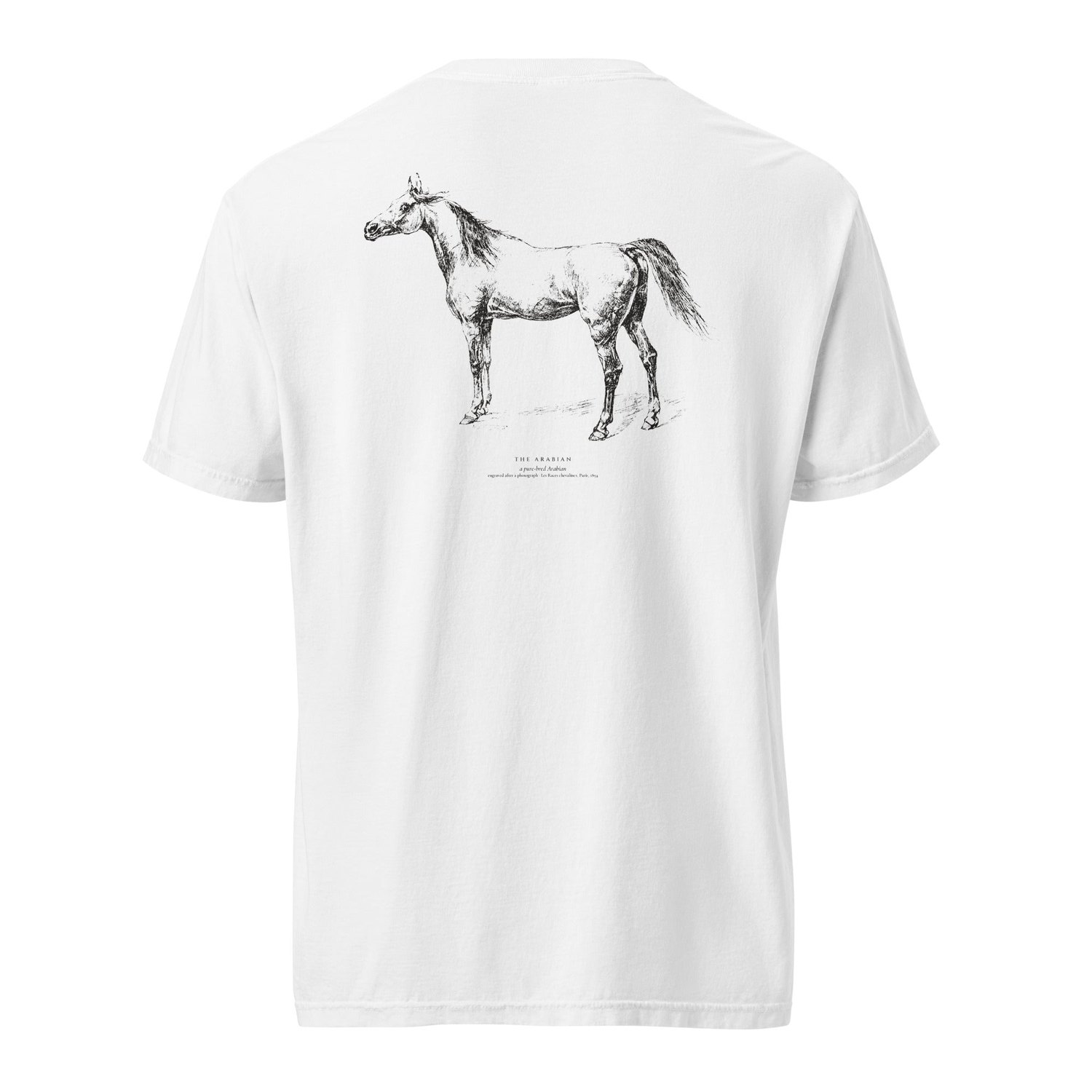 The plate of The Arabian: A pure-bred Arabian, on a white mount.